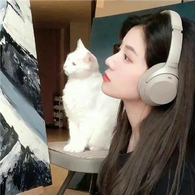 复仇从征服凌少开始